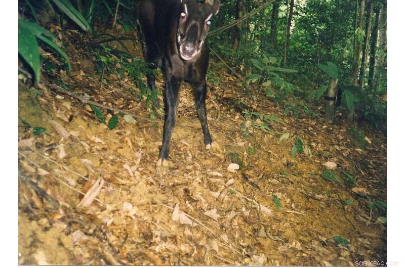 Discoveries of New Species: Why Biodiversity Matters Now