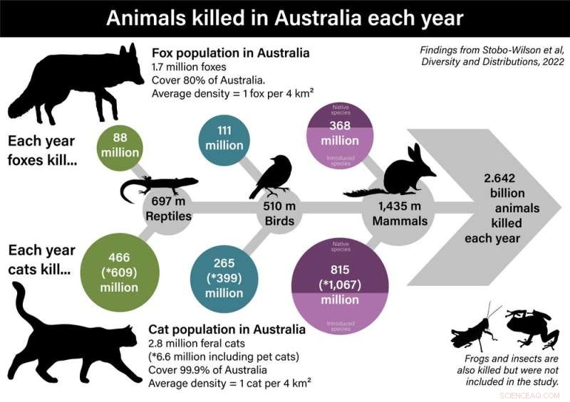 Foxes: Australia s Hidden Wildlife Threat - 300 Million Native Animals Killed Annually