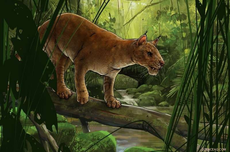 Ancient Predator Discovery: Earliest Known Cat-Like Animal in North America