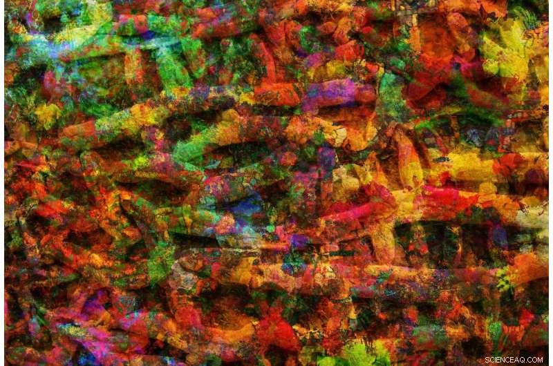 How Microbial Diversity Thrives on Ocean Rafts: A New Study