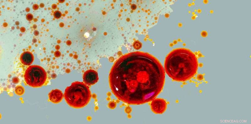 Cellular Factories: How Organelles Respond to Signals