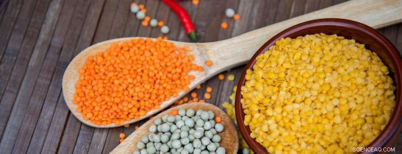 Innovative Research Boosts Food Crop Production | Flinders University