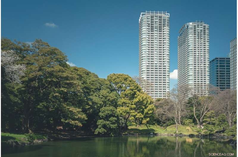 Invasive Insects Threaten US Urban Trees: 1.4 Million at Risk by 2050