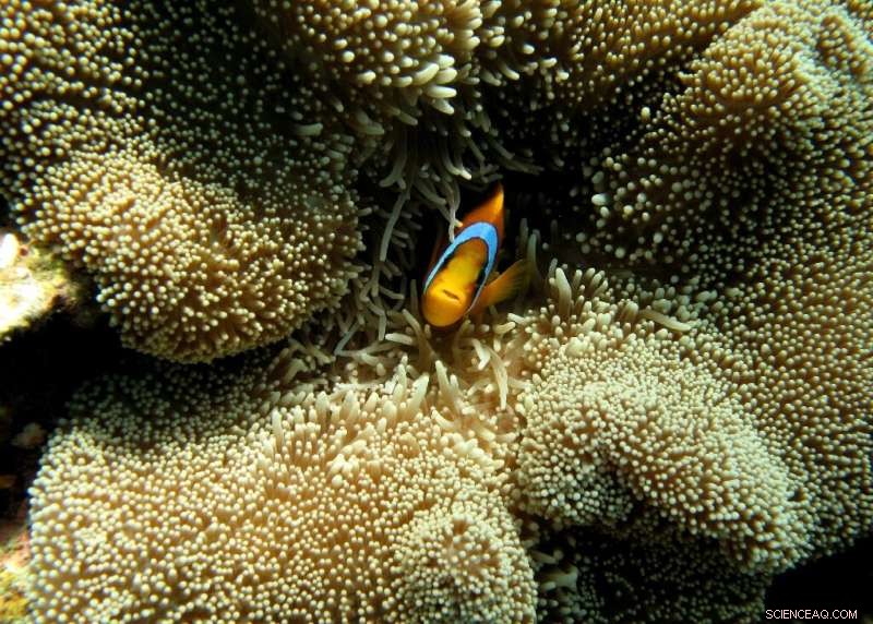 UN Biodiversity Talks Begin: Global Agreement to Protect Nature Under Discussion