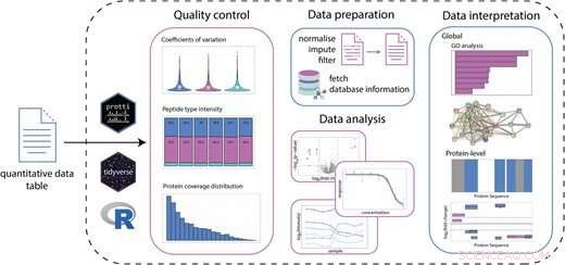 protti: R Package for Bottom-Up Proteomics Data Analysis