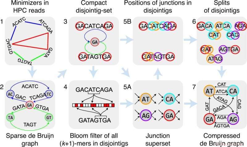 La Jolla Assembler (LJA): A Novel Algorithm for Accurate Genome Assembly