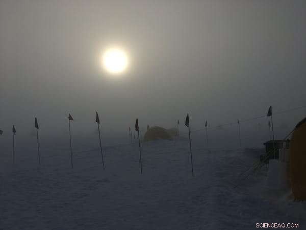 Antarctica s Hidden Ecosystem: Microbial Life Beneath the Ross Ice Shelf