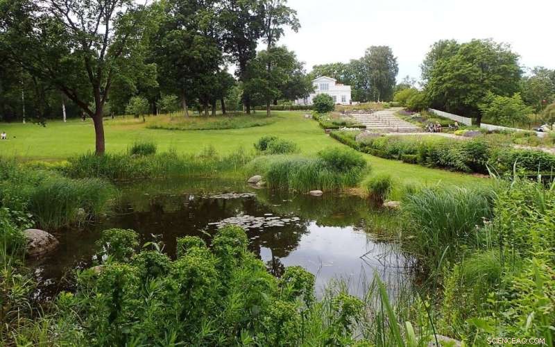 Urban Ponds: Supporting Aquatic Insect Dispersal in Helsinki & Beyond