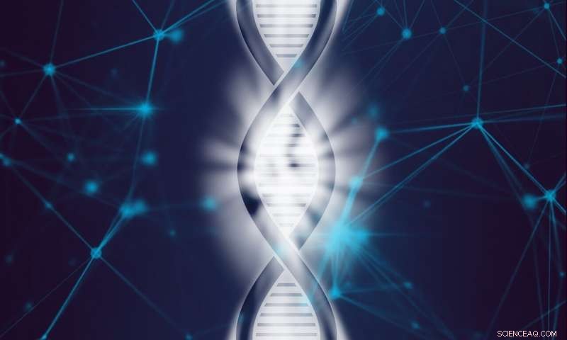 New Tool Advances Genomic Research with Improved Global Diversity Representation