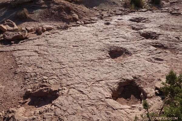 Dinosaur Locomotion: New Evidence Reveals Rhino-Like Stance in Giant Sauropods