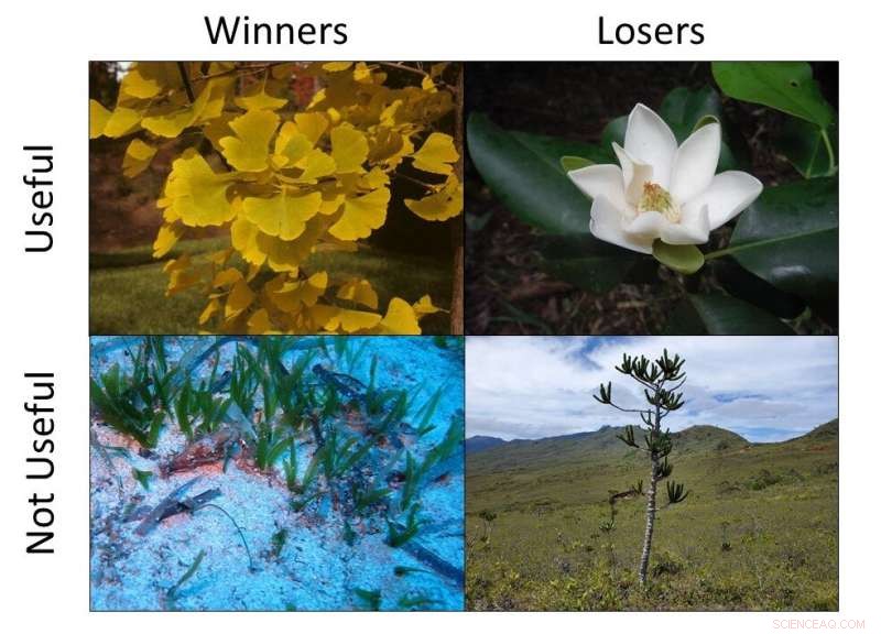 Human Impact on Plant Life: A Scientific Analysis