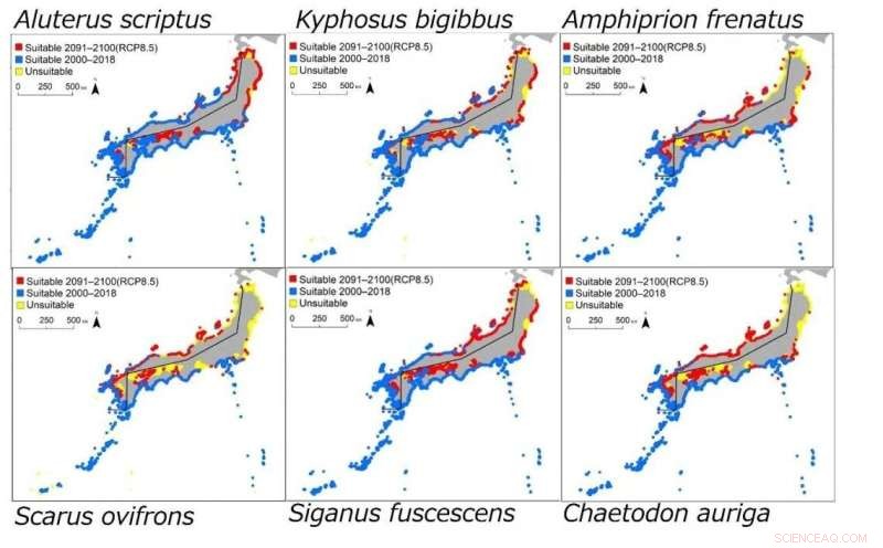 Climate Change & Tropical Fish: Impact on Japanese Species