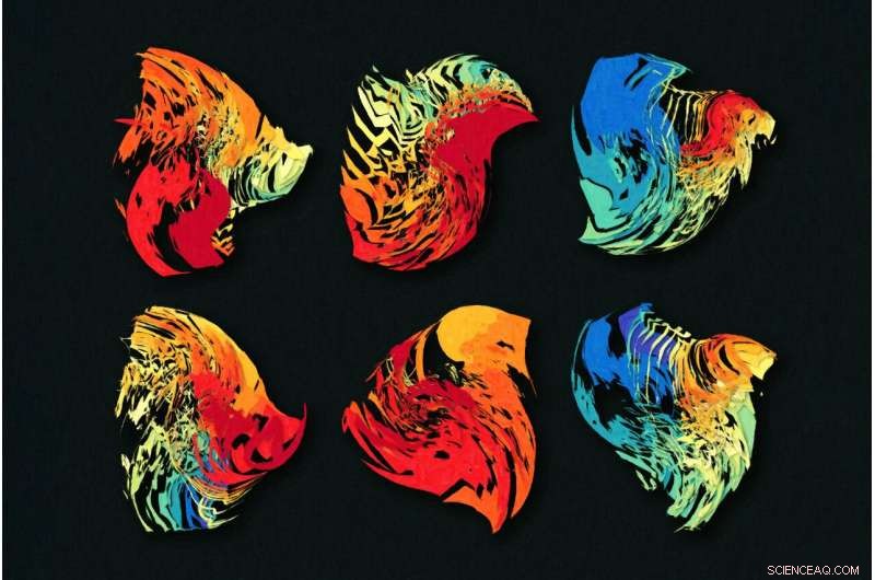 Predicting Gene Regulation Evolution with AI: A New Model