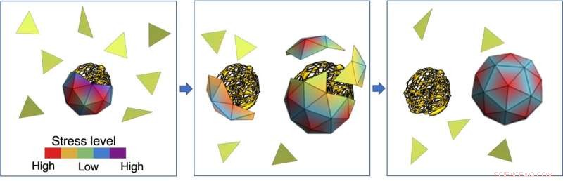 Viral Capsid Assembly: Insights for Nanoparticle Drug Delivery