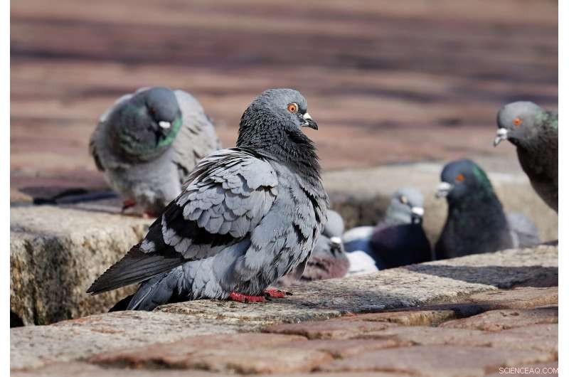 Revolutionary Discovery: New Insights into a Fundamental Biochemical Pathway