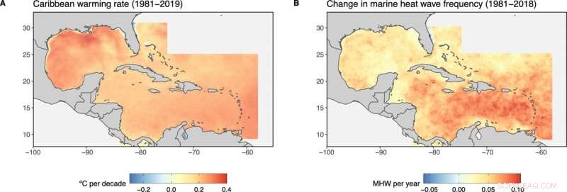 Caribbean Coral Reefs: 150 Years of Warming and Ecosystem Disruption