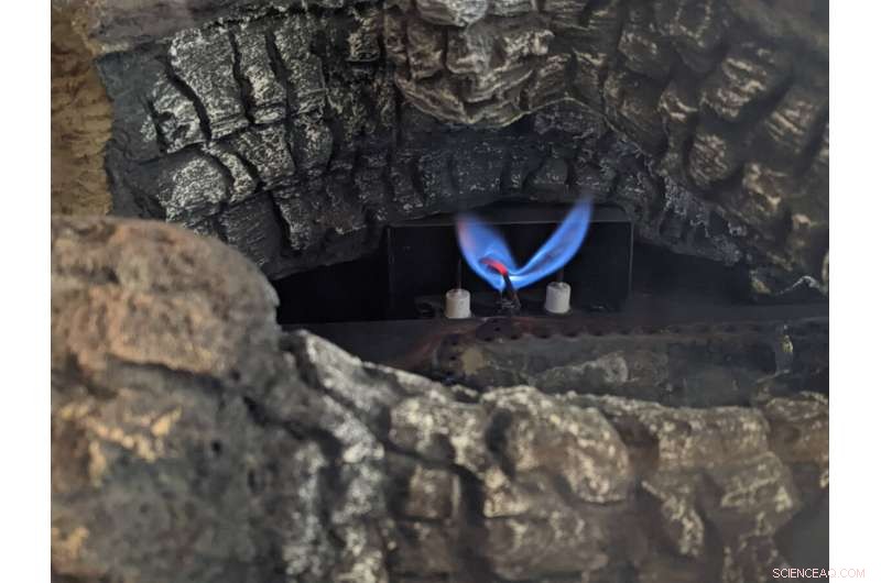 Photosynthesis Efficiency: Unlocking Plant Energy Balance for Higher Crop Yields