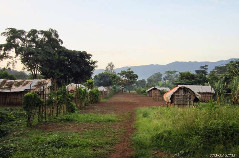 Impact of Agricultural Transition on Modern Populations: A Case Study