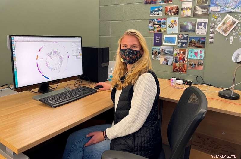 Jumbo Bacteriophages: Unveiling the Hidden World of Giant Viruses