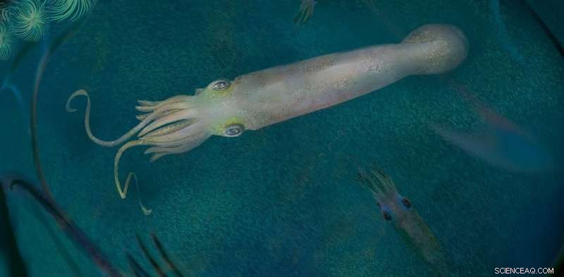 Biden Octopus Fossil: 325-Million-Year-Old Cephalopod Discovery