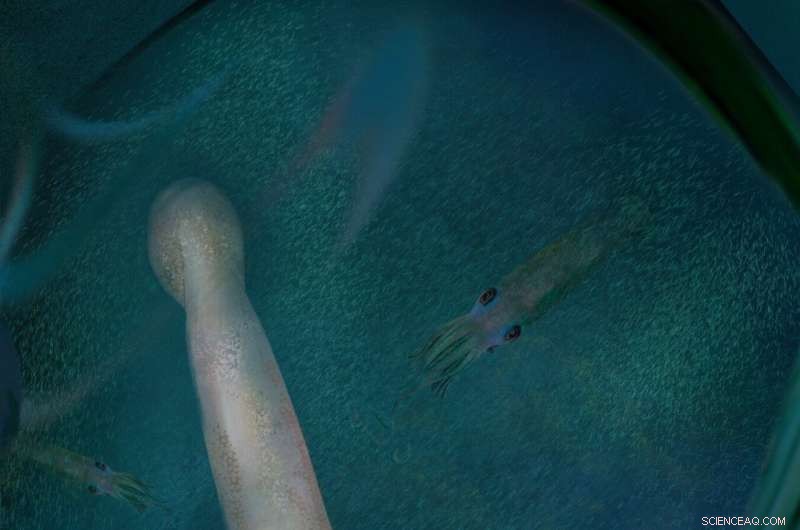 Ancient Vampire Squid Relative Discovered: 10 Arms Reveal Evolutionary History