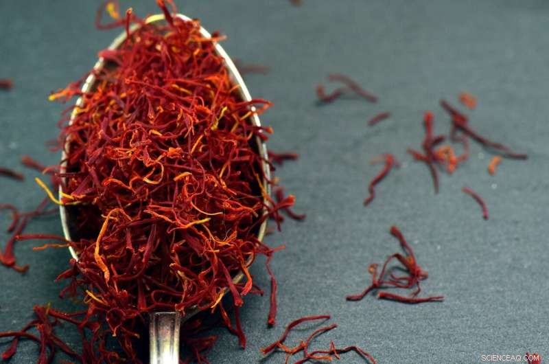 Unlocking Saffron s Origins: Ancient Art & Genetic Research