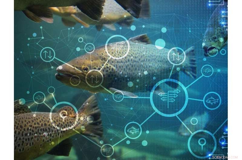 Understanding Fish Passage Through Dams: New Data Reveals Insights