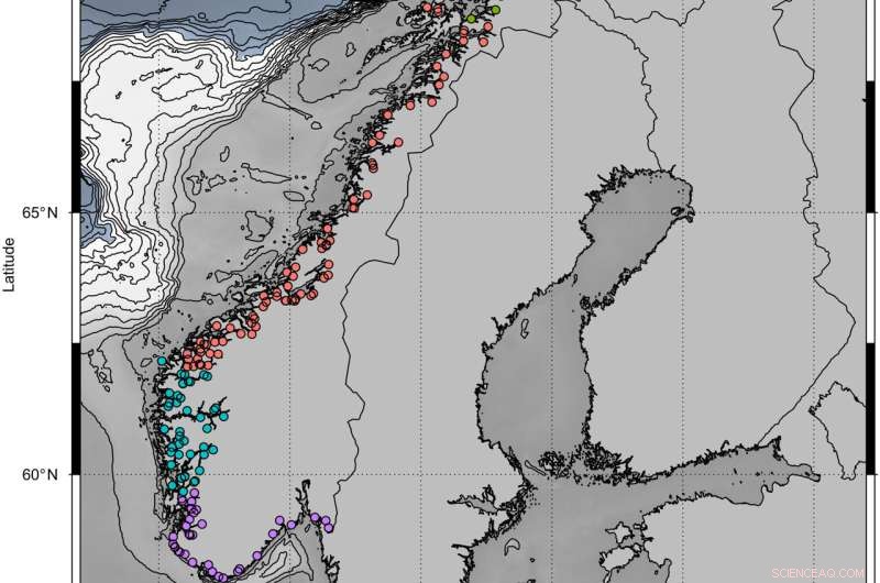2005 Body Size Reduction in Norwegian Wild Atlantic Salmon: A Research Overview