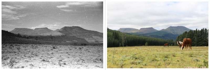 Tracking Landscape Change: Citizen Science Reveals Southern Africa s Evolution