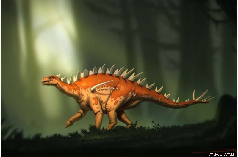 Bashanosaurus primitivus: Asia s Oldest Stegosaur Discovered