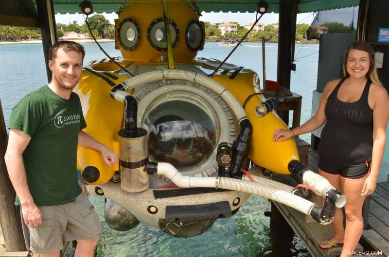 Unveiling the Greater Caribbean: A Decade of Deep-Sea Reef Exploration