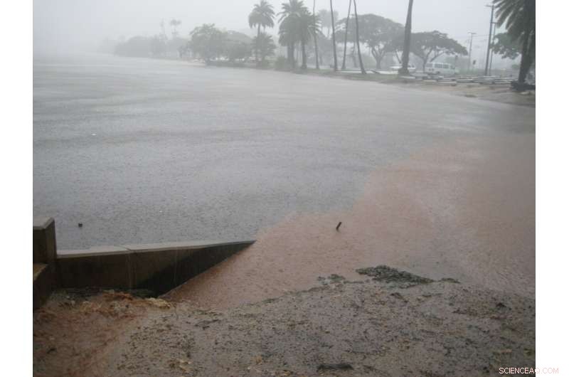 Rainfall Impacts Vibrio Bacteria Levels in Ala Wai Canal - UH Study