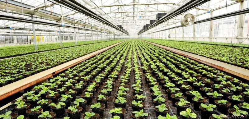 Low-Carbon Indoor Farming: Examining Land Use & Sustainability