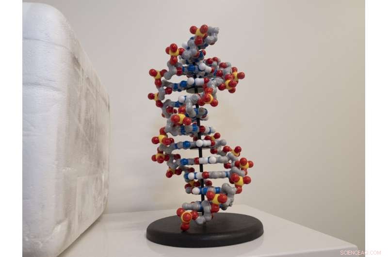 Computer Engineering s Role in Advancing Gene Synthesis