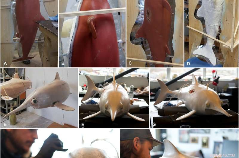 Ancient Fish Reconstruction: Unveiling the Stenopterygius