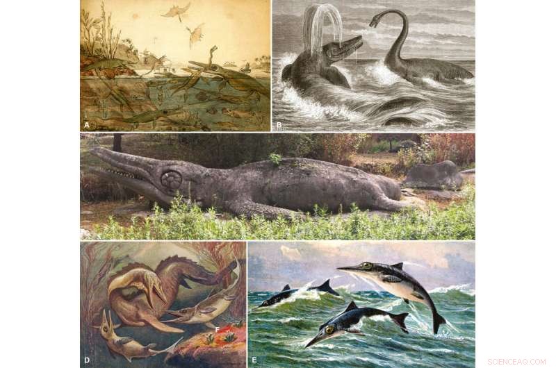 Ancient Fish Reconstruction: Unveiling the Stenopterygius