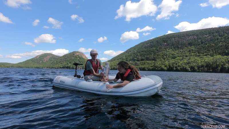 Acadia National Park Lakes Show Remarkable Recovery from Acidification - Research