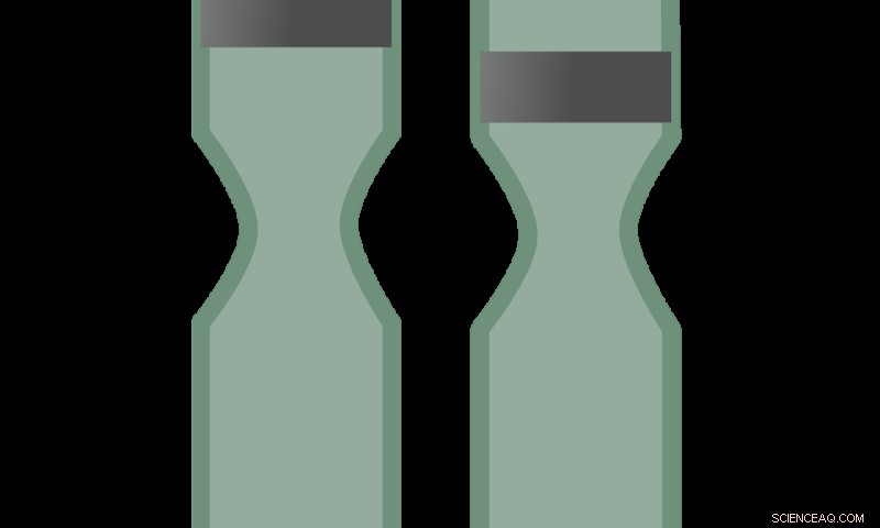 Transposons and Aging: How Genetic  Baggage  Accumulates with Age