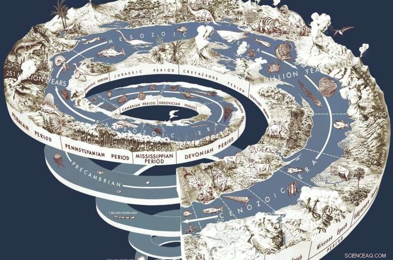 Darwinian Evolution: Understanding Gradual Change in Animal Development
