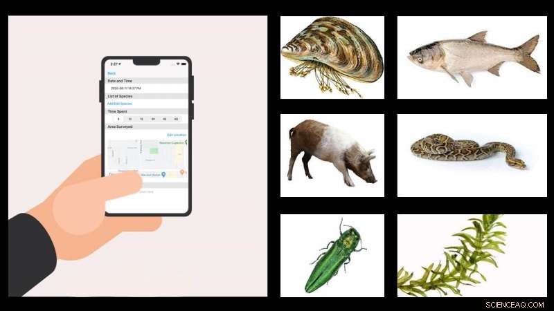 Invasive Species Tracking: Mobile Apps & EDDmapS - A Review