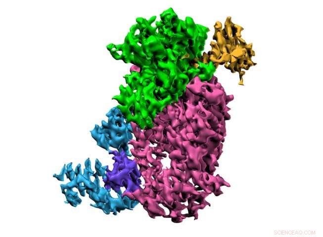 SARS-CoV-2 Cap: A Novel Target for Antiviral Therapies