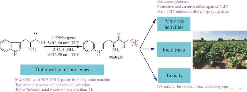 Amino Acids as Plant Virus Control: A Promising New Approach?