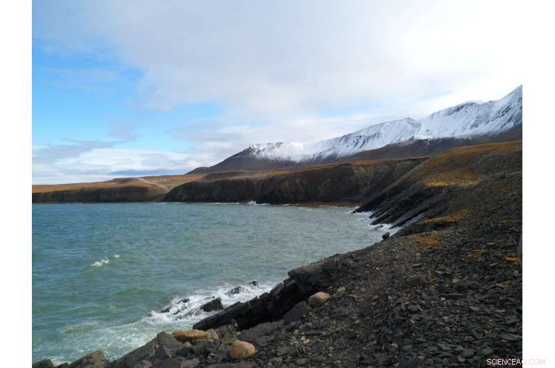 Understanding the End-Permian Extinction: Key Factors & Causes