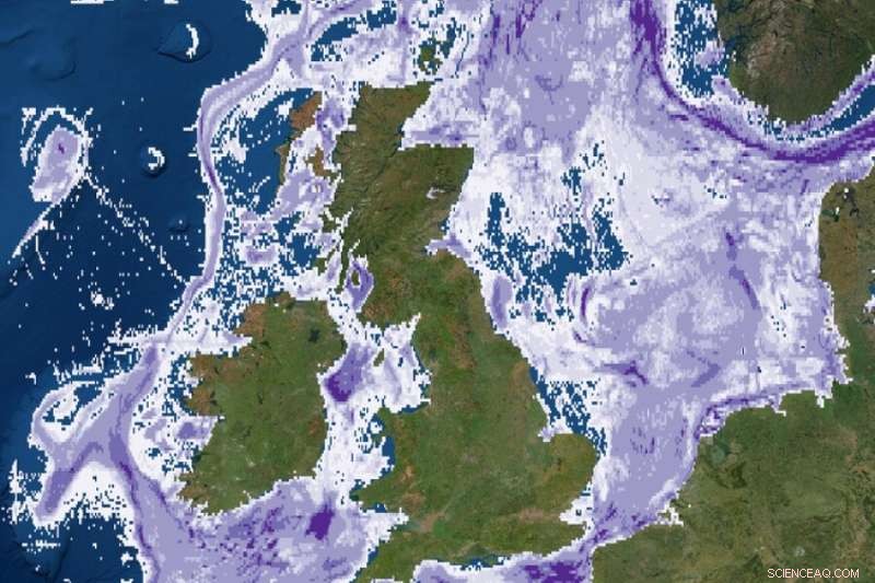 Sustainable Seabed Trawling: Examining the Evidence & Impacts