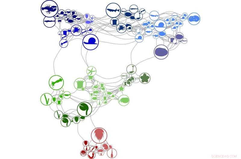Uncovering Ancient Ecosystems: How Social Networks Reveal Mass Extinction Impacts