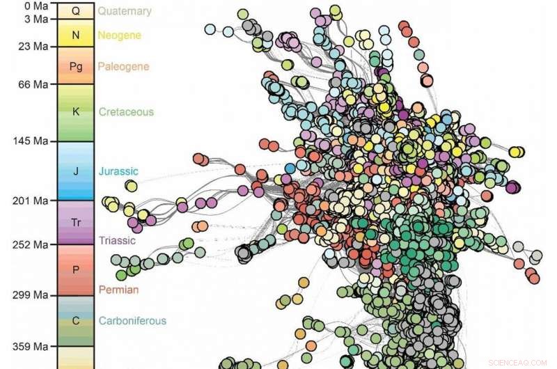 Uncovering Ancient Ecosystems: How Social Networks Reveal Mass Extinction Impacts