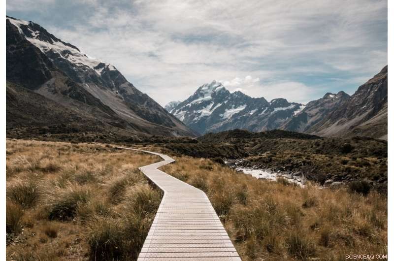 NZ Conservation Volunteers: A National Study Reveals Insights