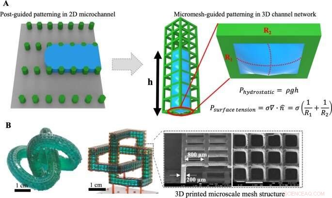 3D Micromesh Printing for Advanced Microtissue Engineering