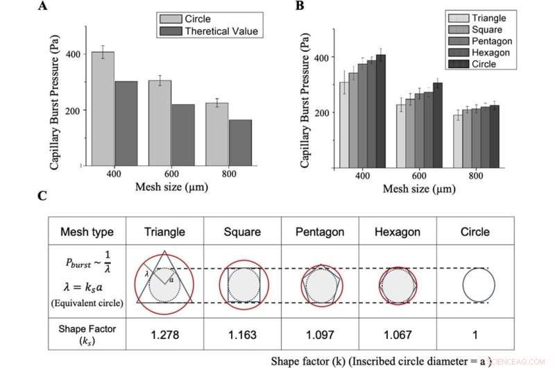 3D Micromesh Printing for Advanced Microtissue Engineering