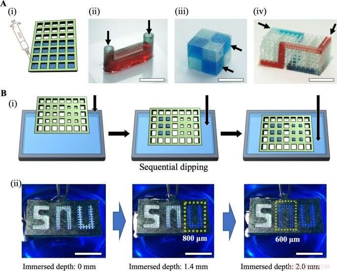 3D Micromesh Printing for Advanced Microtissue Engineering